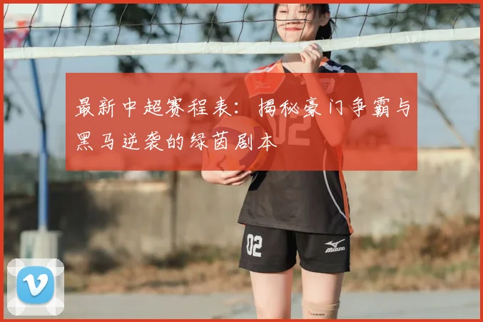 最新中超赛程表：揭秘豪门争霸与黑马逆袭的绿茵剧本