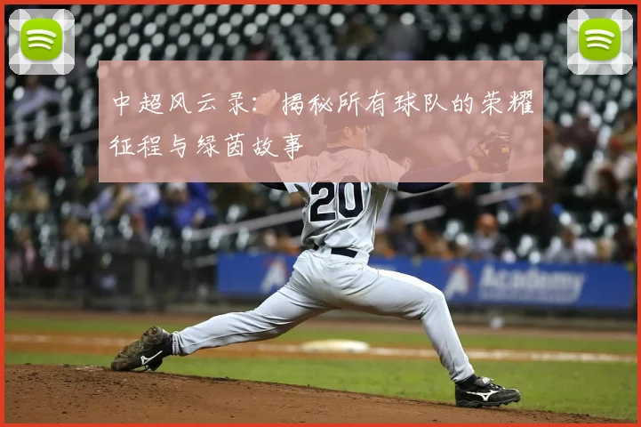 中超风云录：揭秘所有球队的荣耀征程与绿茵故事