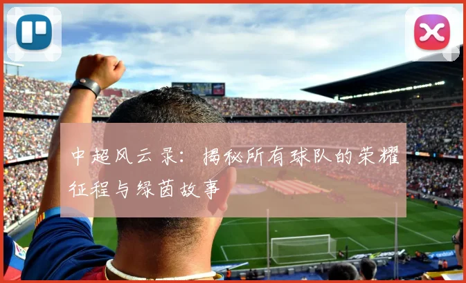 中超风云录：揭秘所有球队的荣耀征程与绿茵故事